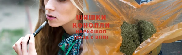 спиды Богданович