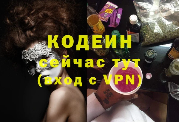 спиды Богданович