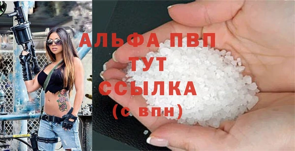 спиды Богданович