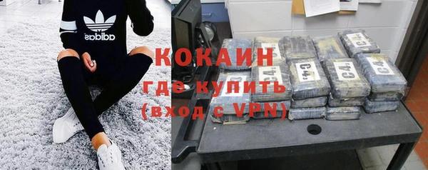 спиды Богданович