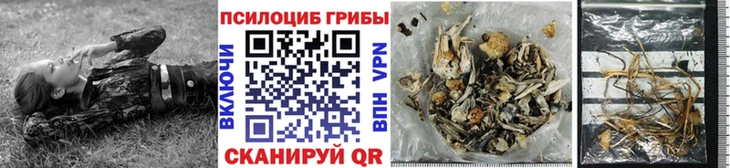 купить  цена  Боровск  Галлюциногенные грибы мицелий 